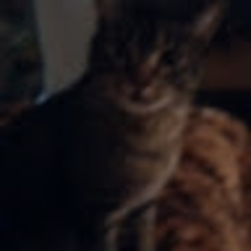 Meet your Posher, Khloe